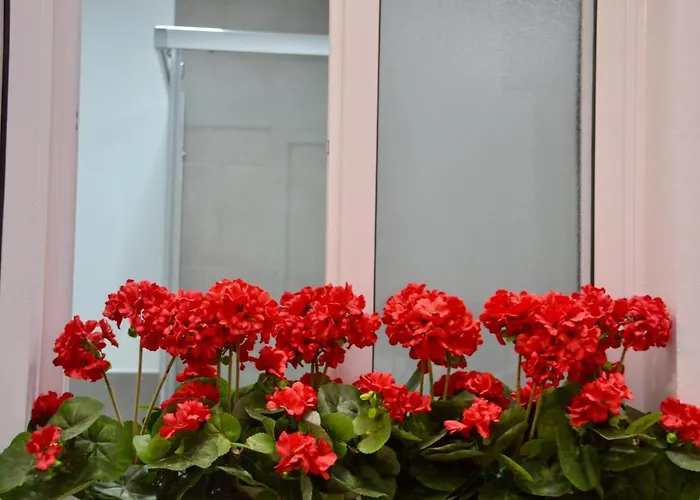 The Blue House Canteras * Las Palmas de Gran Canaria