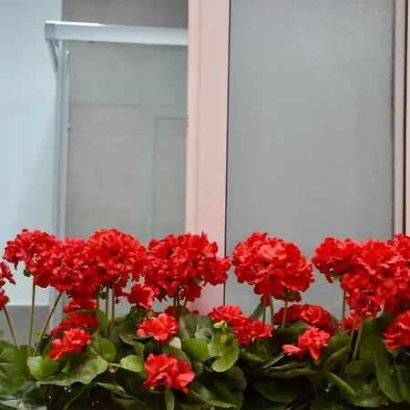 The Blue House Canteras * 라스팔마스